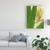 Trademark Fine Art Pablo Esteban 'Tall Wide Palm' Canvas Art, 18x24 ALI45164-C1824GG